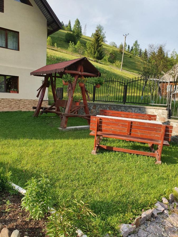 Pensiune Agroturistica Casa Alex Baba エクステリア 写真