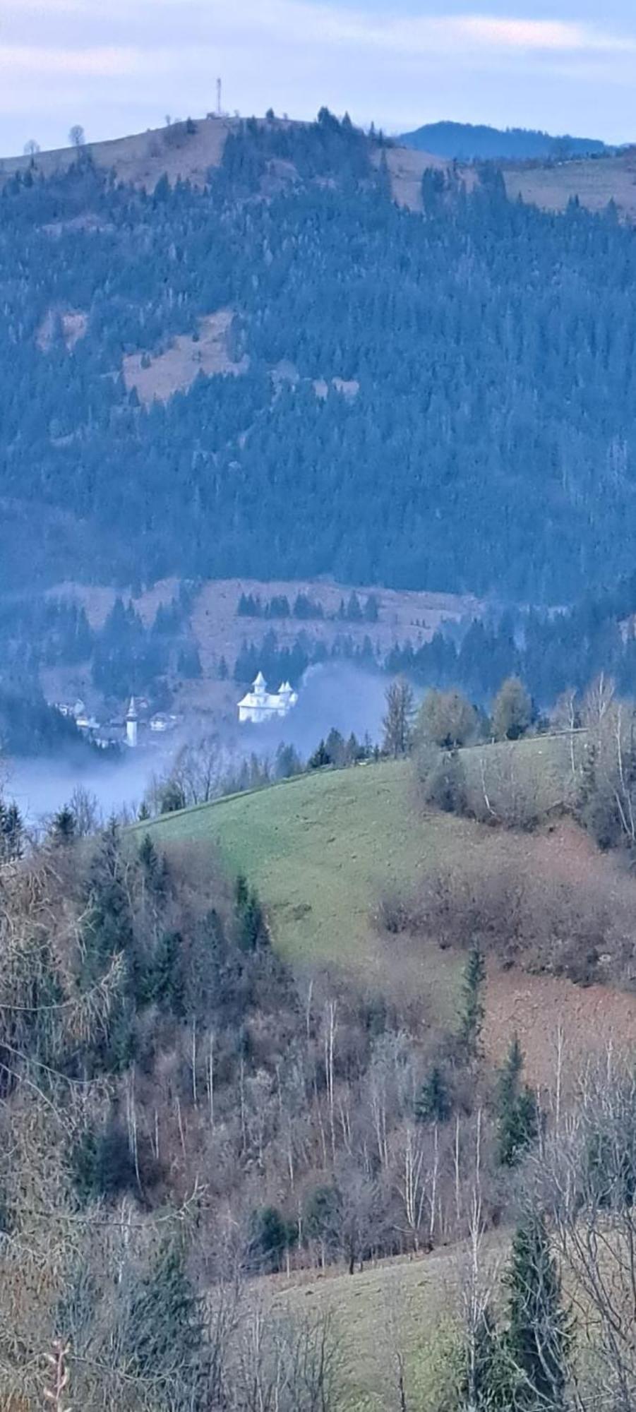 Pensiune Agroturistica Casa Alex Baba エクステリア 写真